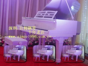 深圳百利二手鋼琴 晶報專題采訪企業的成功之道