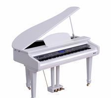 高科利花園專業運鋼琴 鋼琴運輸包裝一體化物流貨運服務全解析